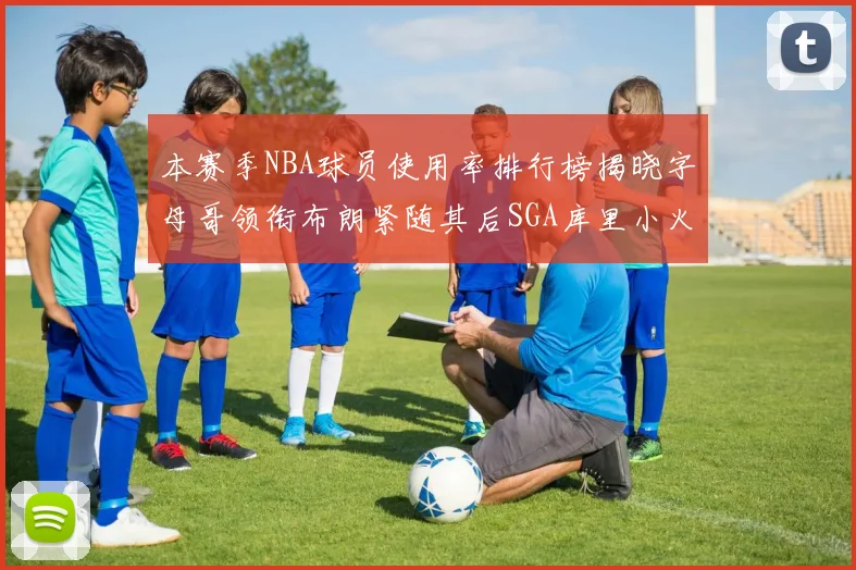 本赛季NBA球员使用率排行榜揭晓字母哥领衔布朗紧随其后SGA库里小火车紧追不舍