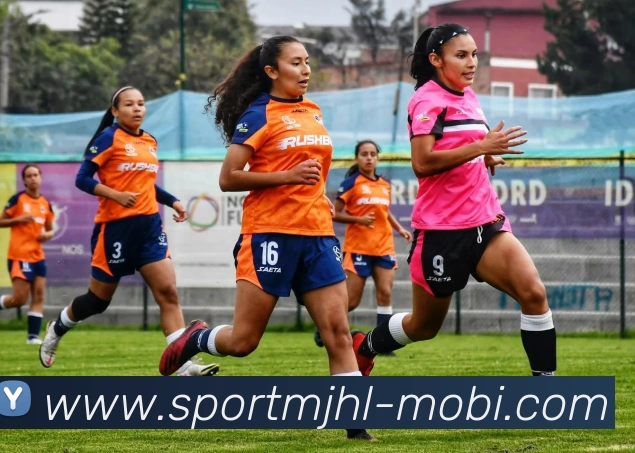 麻将胡了平台生态图